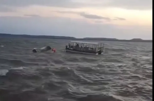 जबलपुर में बड़ा हादसा, बरगी डैम में क्रूज डूबा, 29 लोग थे सवार, 4 शव बरामद, 15 को बचाया