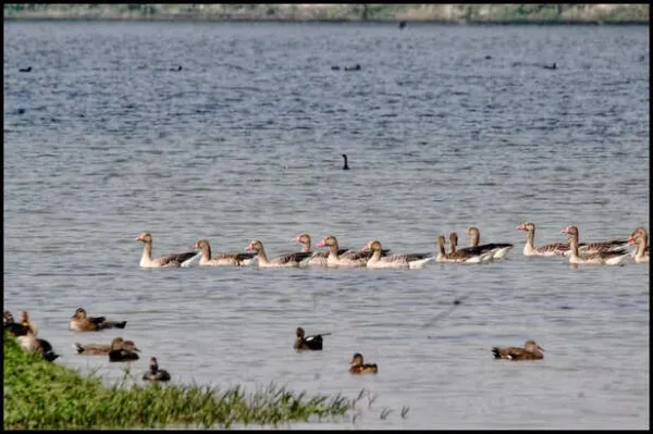 Shekha Jheel becomes Ramsar Site, boosting India's wetland network