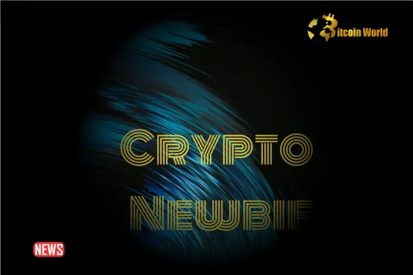 Top Tools For Crypto Newbies