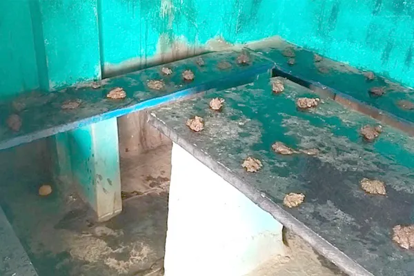 ಊರು ತುಂಬ ಇದರದ್ದೇ ಸುದ್ದಿ, ಅಲ್ಲಲ್ಲಿ ಸಗಣಿ ಇಟ್ಟು ಕರೊನಾ ಕಟ್ಟಿಹಾಕಲು ​ಪ್ಲಾನ್​