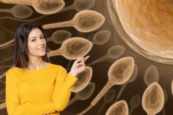 पुरुष किस उम्र तक बच्चे पैदा कर सकते हैं? पिता बनने के लिए कौन सी उम्र बेस्ट, जानें क्या कहता है साइंस...