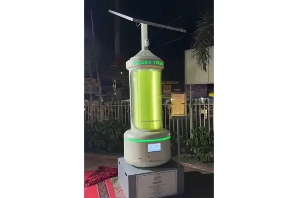Bhopal Deploys Microalgae-Based Technology to Improve Urban Air Quality