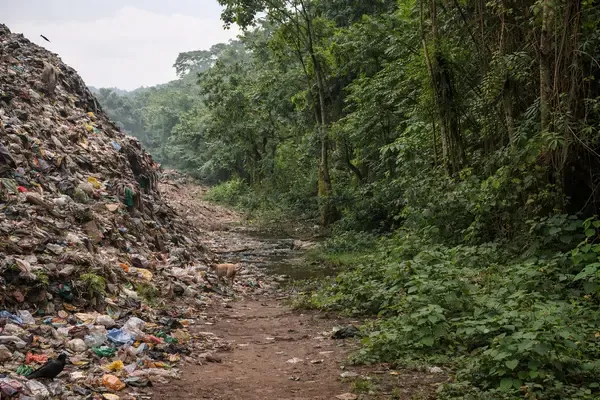 Solid Waste Management Rules 2026 to Take Effect from April 1, Centre Tells Lok Sabha