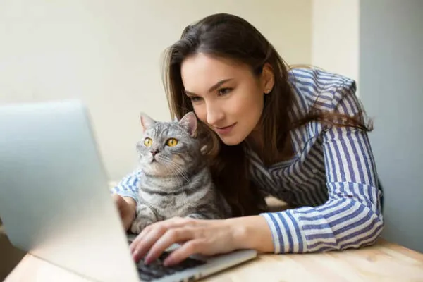 Why Cats Love Sitting on Laptops So Much- Science Answers