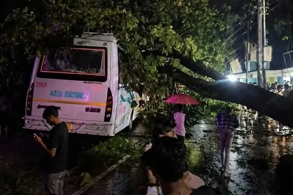 Tree Crashes Onto Moving Bus During Thunderstorm in Assam's Dhubri, No Major Injuries Reported