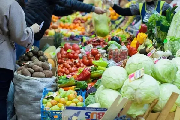 Global food prices may rise if West Asia crisis lasts beyond 40 days: FAO