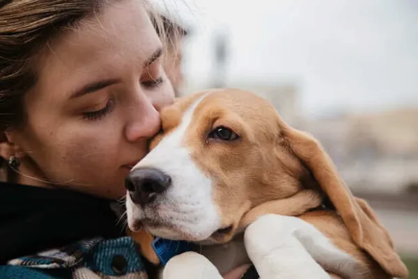 What Happens in a Dog's Brain When You Cry- Science Reveals
