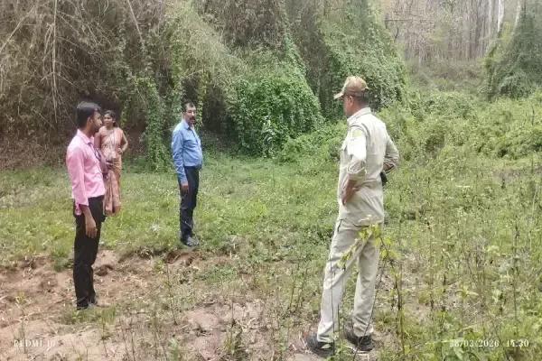 ವನ್ಯಜೀವಿಗಳಿಗಾಗಿ ನೀರಿನ ಮೂಲ ಅಭಿವೃದ್ಧಿ I wild animal