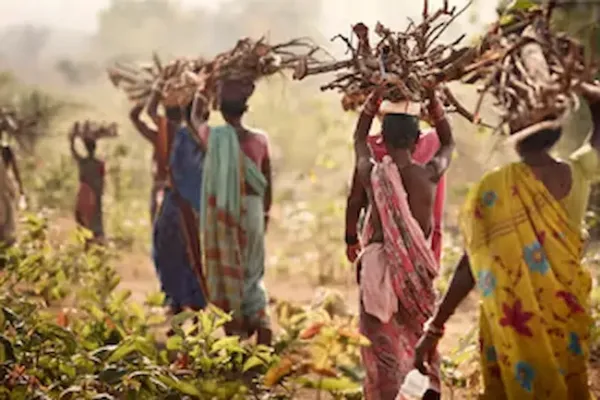 గిరిజనులు లేని గ్రామాలు మైదాన ప్రాంతాలు!