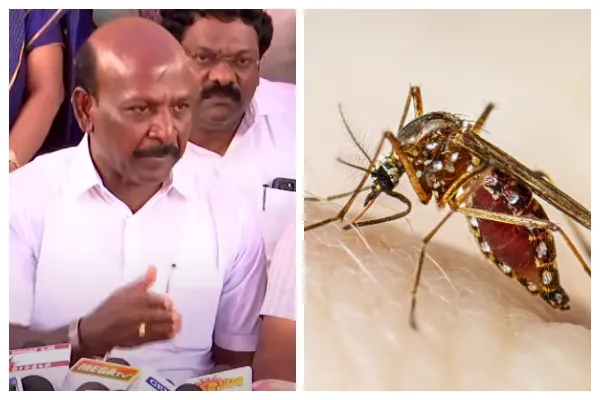 டெங்கு பாதிப்பு கட்டுக்குள் இருக்கிறதா? மா. சு. விளக்கம்!