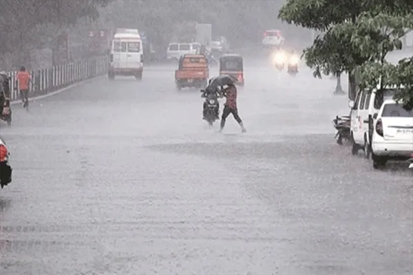 पुण्यात १ तास मुसळधार पाऊस, झाडांच्या फांद्या पडल्या