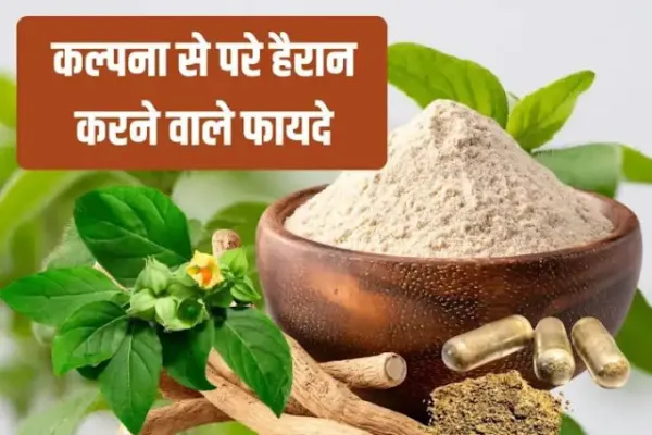 PM मोदी ने यूं ही नहीं की अश्वगंधा की तारीफ, घोड़ों जैसी ताकत और नसों में खलबली मचा देती है जड़ी-बूटी, हर कण में संजीवनी'