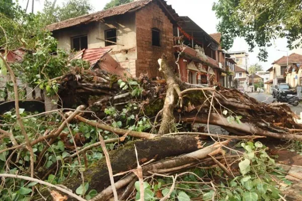 Tree branch collapse damages homes after heavy rain in Mangaluru