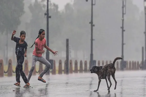 रेबीजमुळे सात वर्षीय मुलीचा मृत्यू
