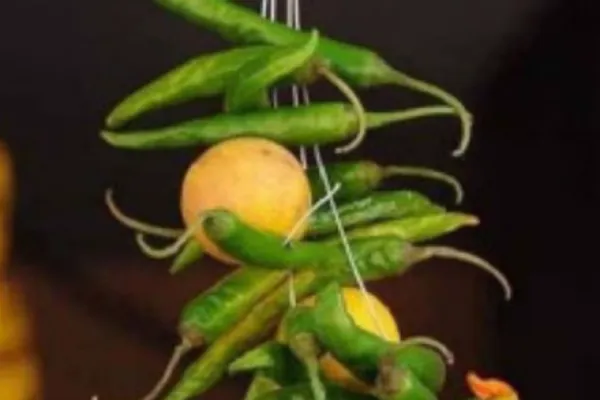 నడిరోడ్డుపై నిమ్మకాయలు, కొబ్బరికాయ.. పోలీస్ ఏం చేశారంటే?