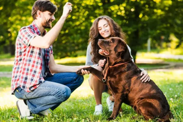 What No One Tells You About Owning a Pet