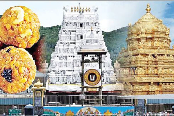 ತಿರುಪತಿಯ ಲಡ್ಡು ಅಪವಿತ್ರ; ಮೀನಿನ ಎಣ್ಣೆ, ಪ್ರಾಣಿಗಳ ಕೊಬ್ಬು ಬಳಕೆ, ಕೋಟ್ಯಂತರ ಭಕ್ತರ ಭಾವನೆಗಳಿಗೆ ಧಕ್ಕೆ