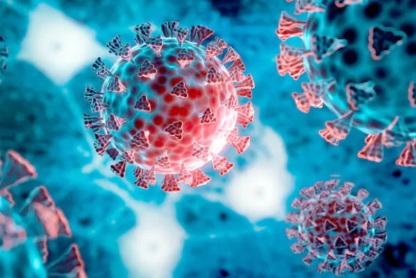 ପିଲାଙ୍କୁ ବିପଦ ନୂଆ କୋଭିଡ୍‌ ଭୂତାଣୁ 'ସିକାଡା'