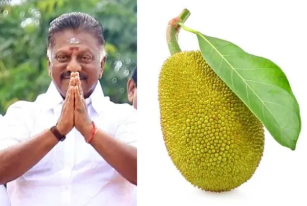 பன்னீருக்கு பலாப்பழம் சின்னம் ஒதுக்கீடு!