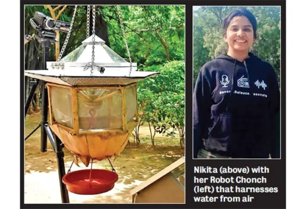 Beak that brings water from airDAU researcher builds solar-powered device to help birds hydrate naturally year-round