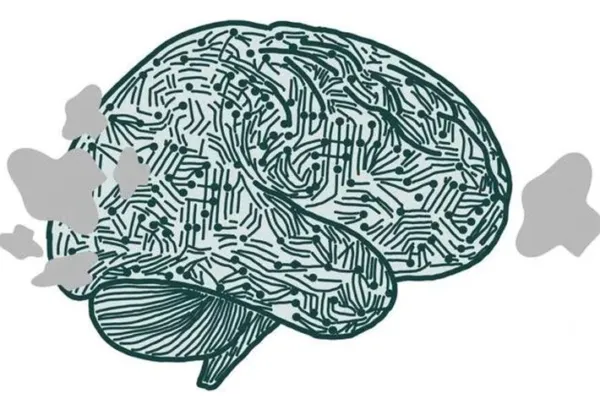 New study on brain's visual regions can help build effective AI systemsA Columbia University's School of Engineering study in the US has shown that the brain's visual regions play an active role in making sense of information, which could help build more adaptive AI systems.