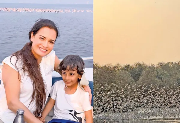Dia shares son's concernTalks about Avyaan's reaction to destruction of ecosystems