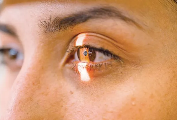 The 600-million-year  story of your eyesScientists trace how eyes evolved from simple light-sensing cells to complex organs