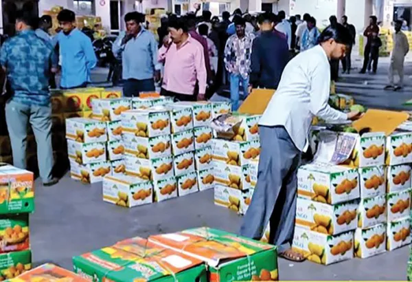 Erratic weather makes mango varieties pricierRecent auctions saw Kesar mangoes selling at Rs 2,200 to Rs 3,400/ 10-kg box; Alphonso averages Rs 4,500 per box, with highs touching Rs 7,000