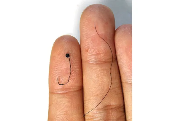 Scientists create hair-like electrode to monitor brain's electrical activityA team of researchers in the US has created a hair-like device for long-term, non-invasive monitoring of the brain's electrical activity.