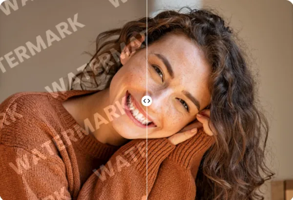 5 Best Video Watermark Removers