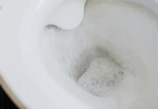 Toilet Flushing Hygiene: Beware! An open toilet seat can cause illness, a major study has revealed.
