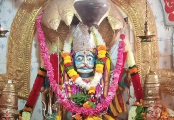 గడి పెద్దాపూర్ లో అంగరంగ వైభవంగా మల్లికార్జున స్వామి జాతర ఉత్సవాలు