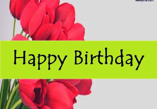 Today's Birthday: 28th May 2026