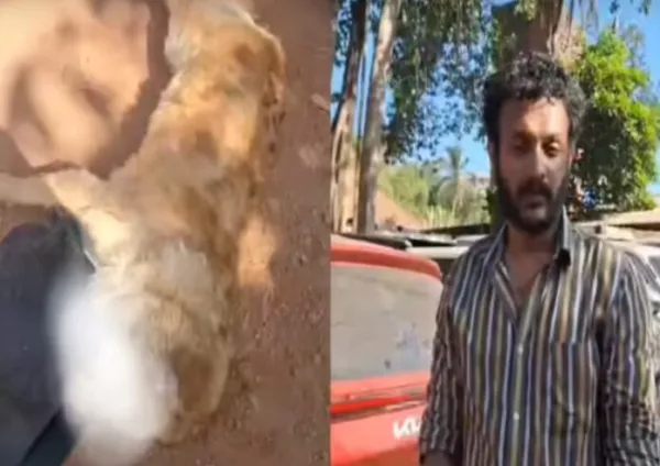 TRAGEDY: : ಕ್ಯಾಸಿನೋಗೆ ಹೋದ ಮಾಲೀಕ; ಕಾರಿನಲ್ಲೇ ಉಸಿರುಗಟ್ಟಿ ಸಾವನ್ನಪ್ಪಿದ ಸಾಕು ನಾಯಿ!