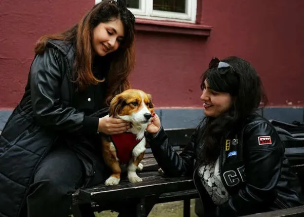 5 Everyday Pet Care Mistakes Most Owners Don't Realize They Make