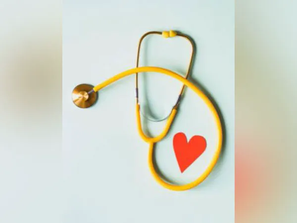 Racing heart may alter decision-making brain circuits, study shows how