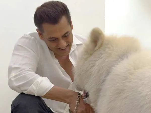 Salman Khan Shares a Heartfelt Post With His Furball