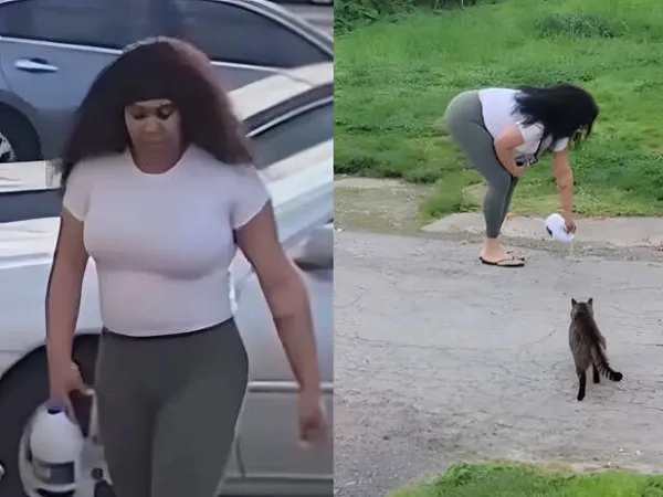 What's the punishment for animal cruelty in PA? Chester woman caught pouring bleach on food left out for stray cats in viral video