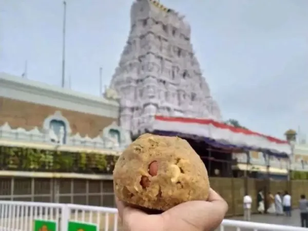 Two More Arrested in Tirupati Laddoo Case