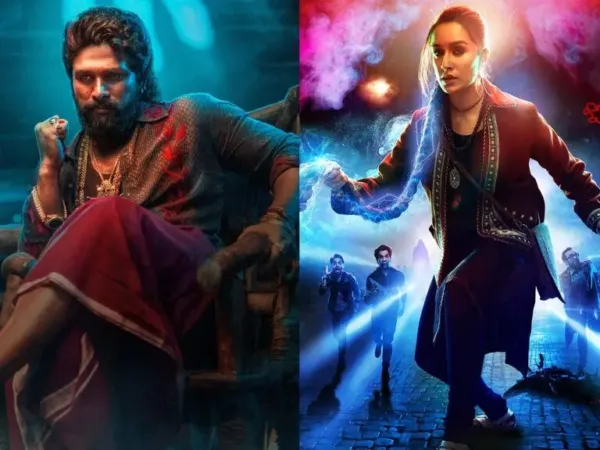 Pushpa 2 & Stree 2 Fail to Save Industry?