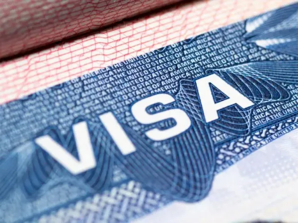 NRI Exposes Hidden Truths About a 10-Year US Visa