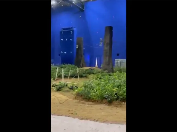 Viral Video: Ramayana's Ashok Vatika Set Leaked