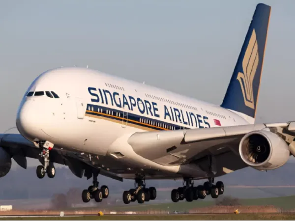 Indian Sexual Predator Arrested On US Flight