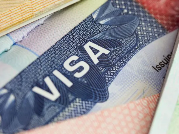 STEM OPT Deadline Blunder Turns H-1B Nightmare
