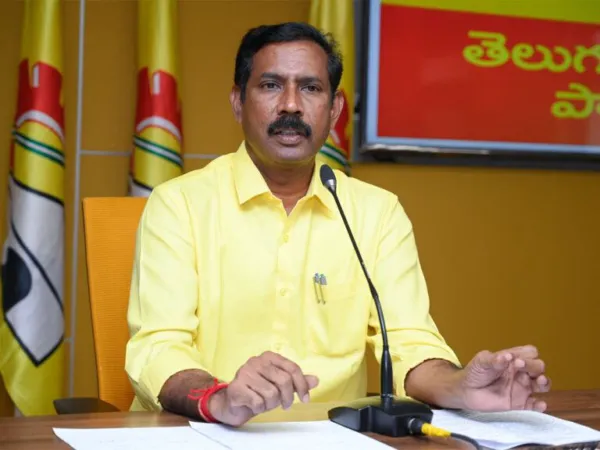 TDP Organisational Elections Process Begins