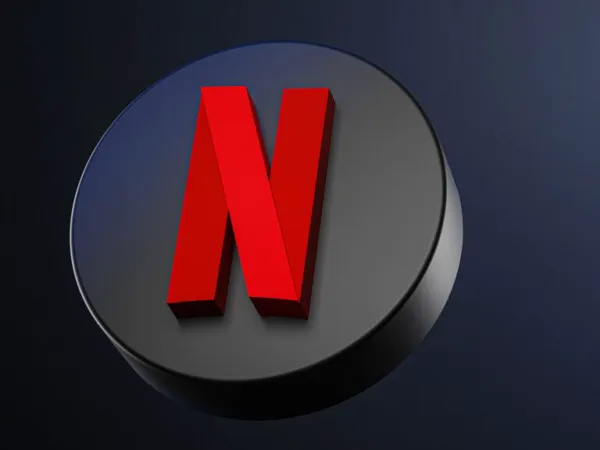 Netflix Titles: No Dub For South Fans?