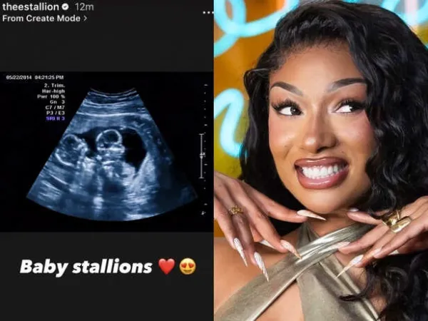 Fact Check: Did Megan Thee Stallion announce a twin pregnancy on her Instagram? Here's the truth behind the viral claims