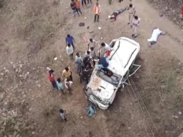Car Crash Tragedy: Goat's Miraculous Escape