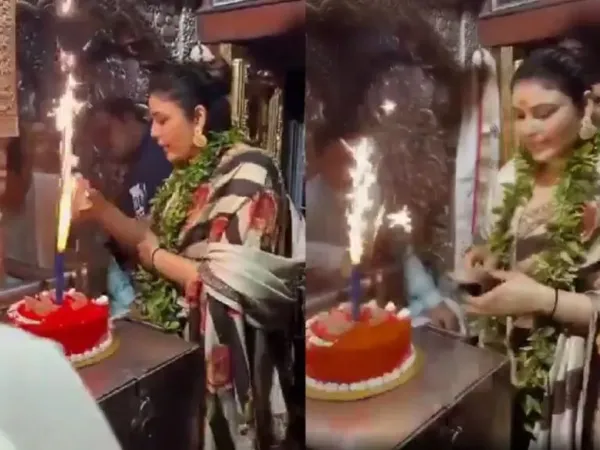 Viral Cake Video: Hindu Sanatan Dharma Insulted?