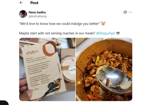 Cockroach Crashes Chay's Shoyu meal!